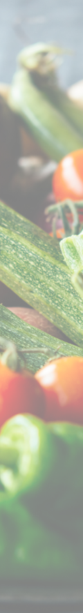 vegetarian-awareness-month.png